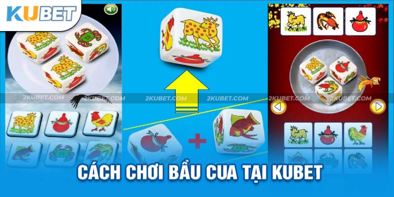 Hướng dẫn cách chơi bầu cua Kubet hiệu quả dành cho thành viên mới