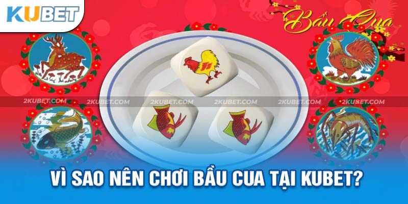 Vì sao nên tham gia cá cược bầu cua tại nhà cái uy tín Kubet